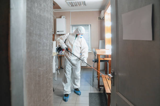 Why You Should Choose Our Mold Remediation Services in Idyllwild Pine Cove, CA